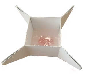 Paper Box for Clear Silicone Mold Gel &ndash; foto van siliconen mal